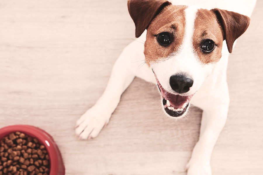 Happy Dog - Pure Tasmanian Pet Food