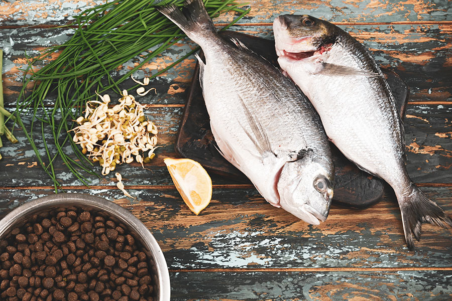 80% meat, 20% veg, 0% filler - Pure Tasmanian Pet Foods